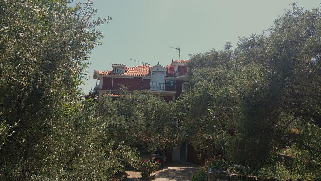 Belvedere Zakynthos Studios *